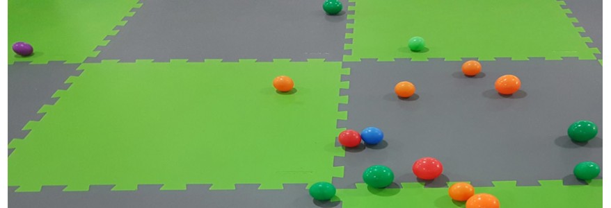 Sportec MotionFlex puzzle